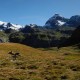 Monte Petit Tournalin